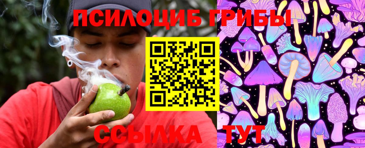 Белая Калитва  Псилоцибиновые грибы Cubensis  Вход с VPN 