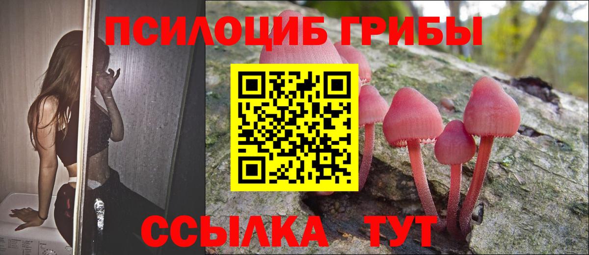 Псилоцибиновые грибы прущие грибы Белая Калитва